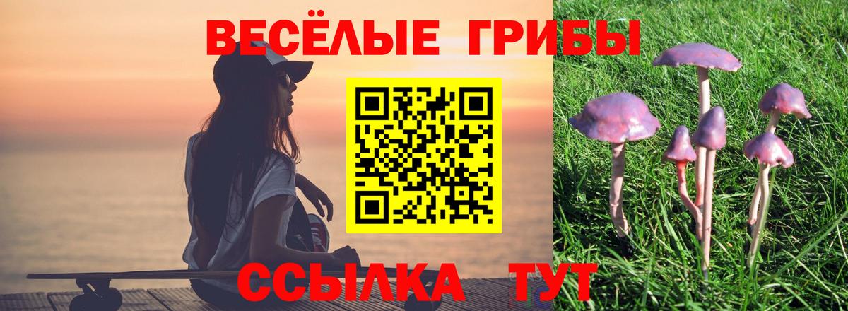 Псилоцибиновые грибы ЛСД Томск